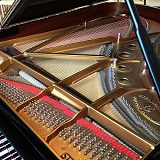 Grand Piano Check / Evaluation Service