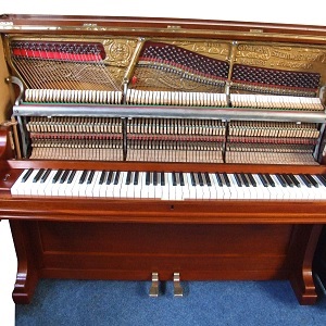 Upright Piano Check / Evaluation Service