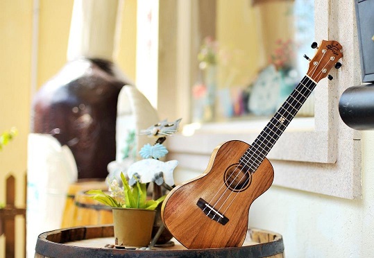 Ukulele