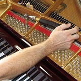 Grand Piano Tuning Service