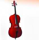 Cello CB-300