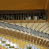 Grand Piano Normal String Replacement (Cost per string)